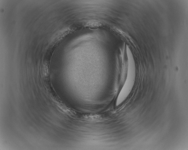 X0000062610517200601181633