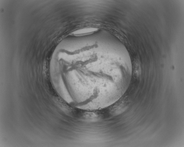 X0000062610519200601181632