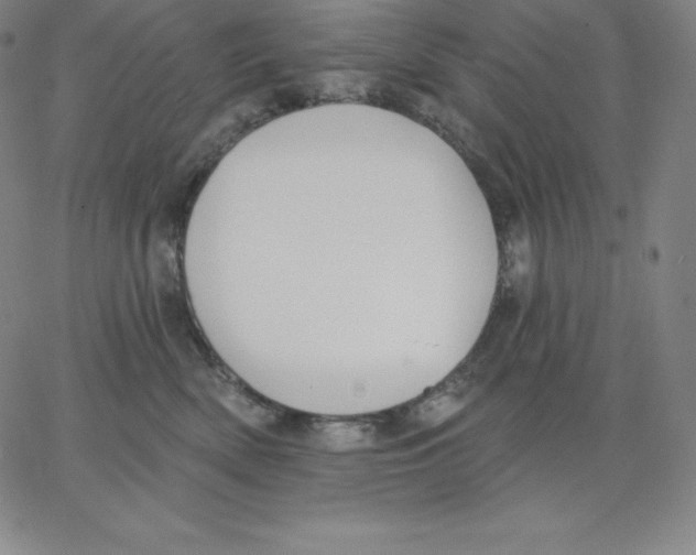 X0000062610522200601181632