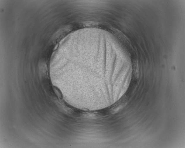 X0000062610523200601181632