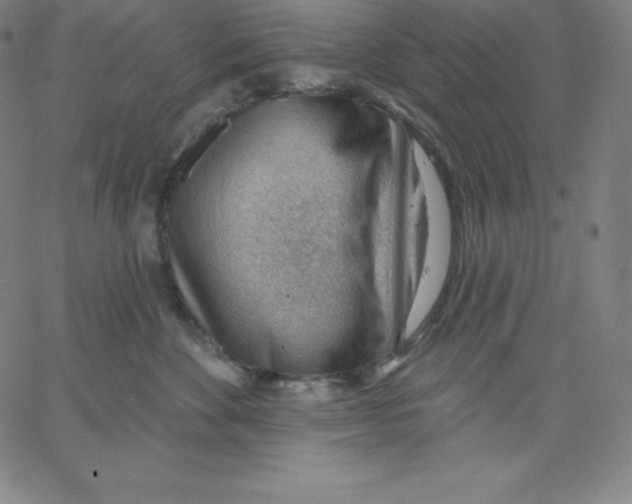 X0000062610524200601181632