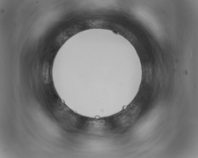 X0000062610525200601181632