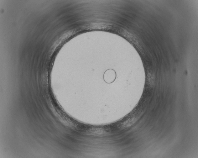 X0000062610534200601181632