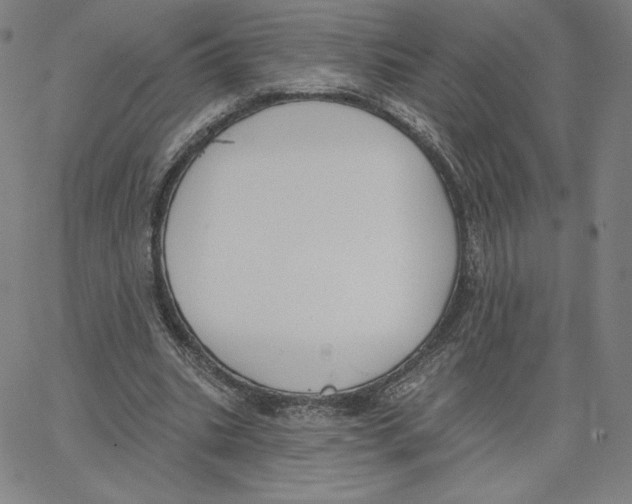 X0000062610535200601181632