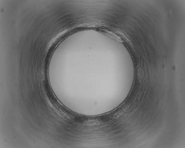 X0000062610536200601181632