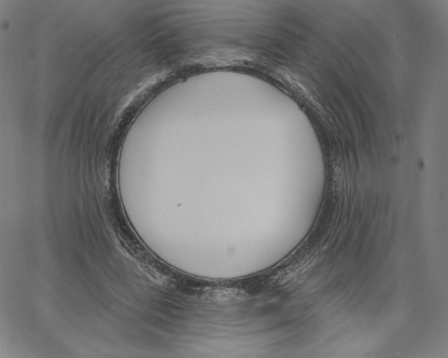 X0000062610539200601181632