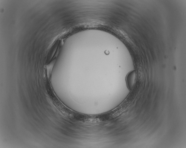 X0000062610543200601181632