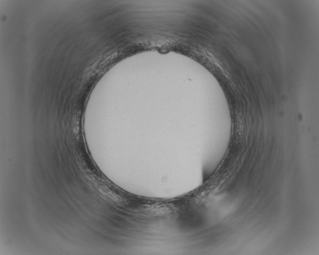 X0000062610545200601181632