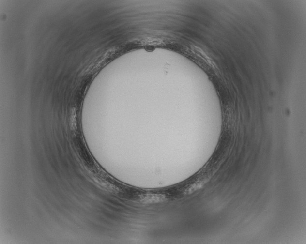 X0000062610549200601181632