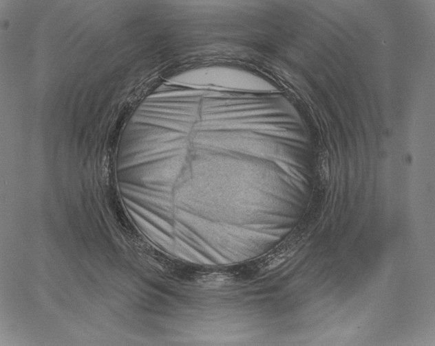 X0000062610551200601181632