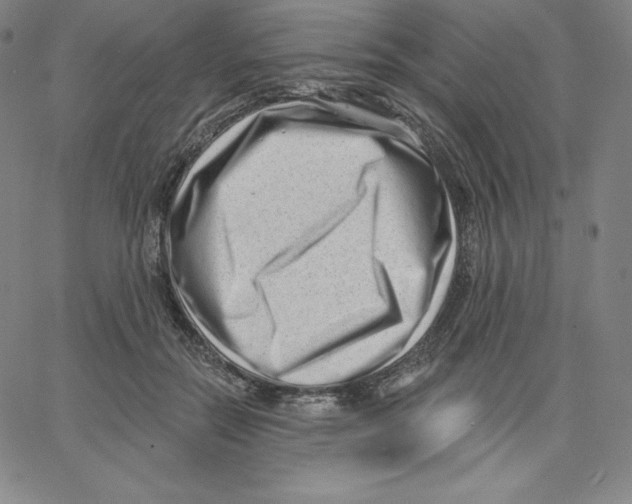 X0000062610554200601181632