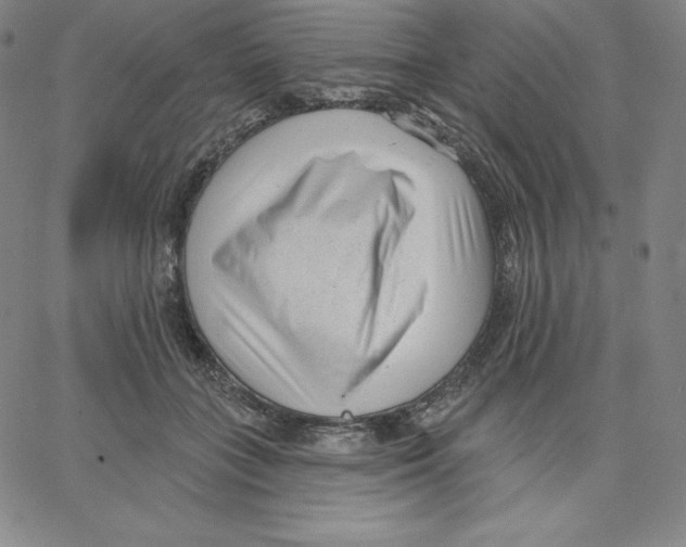 X0000062610555200601181632