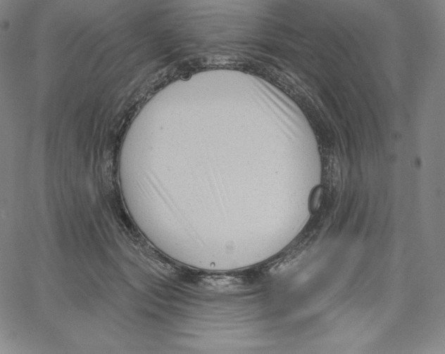 X0000062610557200601181632