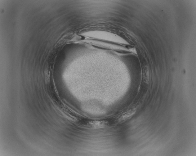 X0000062610558200601181632