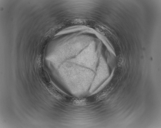 X0000062610560200601181632