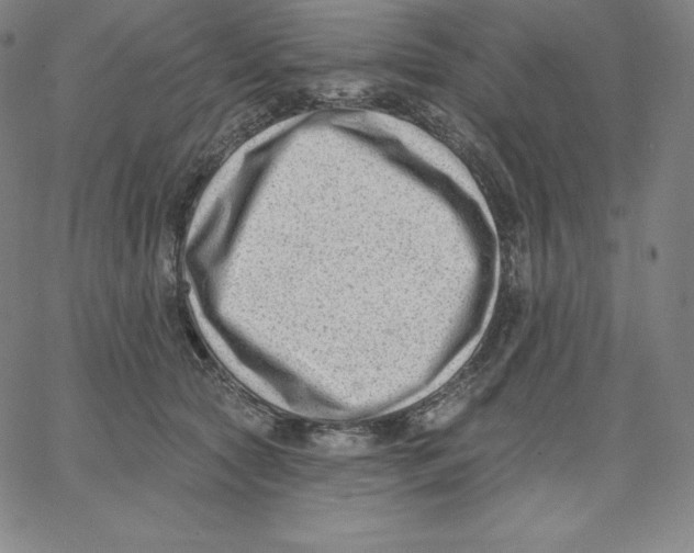 X0000062610561200601181632