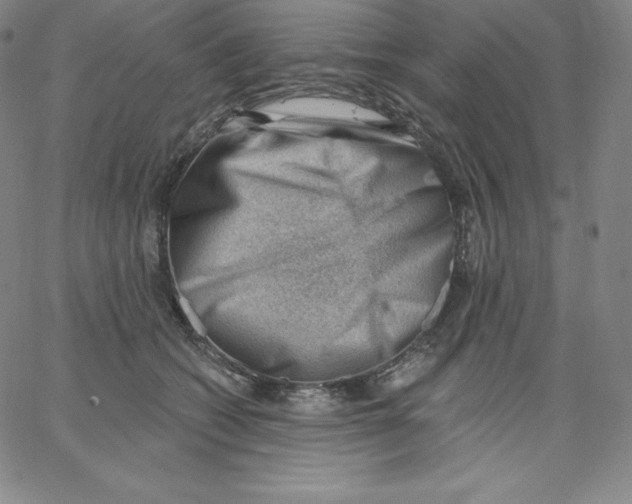 X0000062610562200601181632