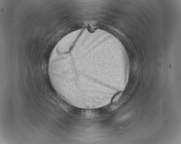 X0000062610565200601181632