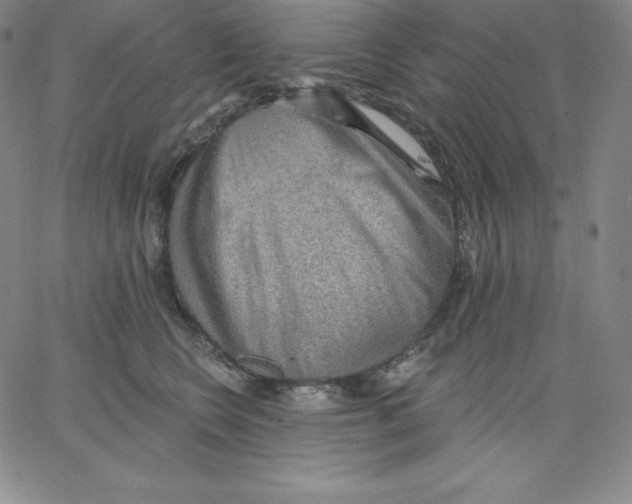 X0000062610566200601181632