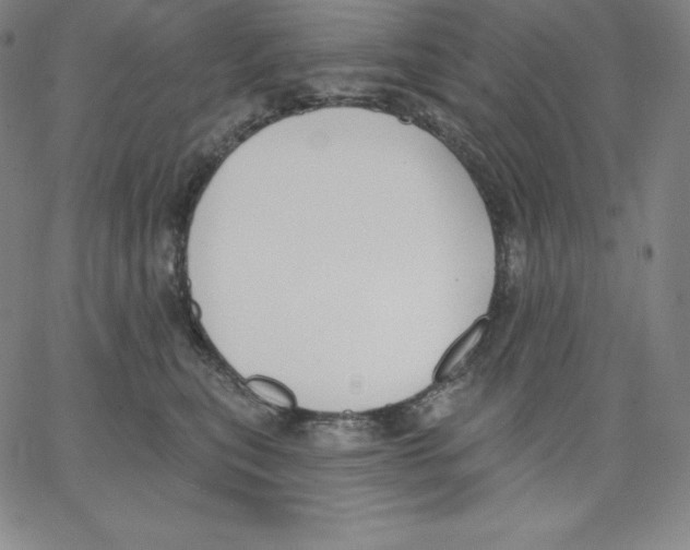 X0000062610567200601181632