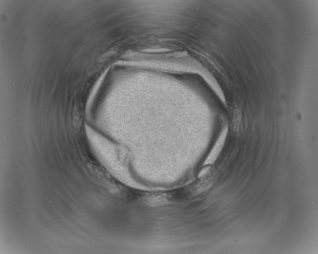 X0000062610569200601181632