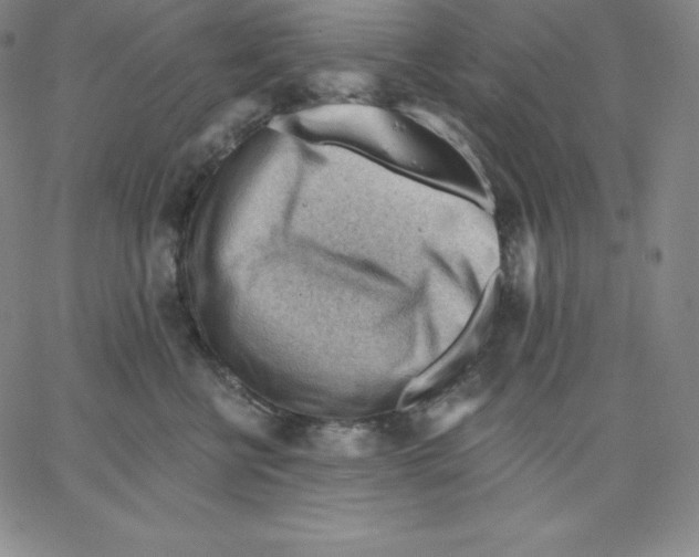 X0000062610570200601181632