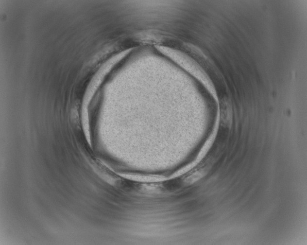 X0000062610573200601181632