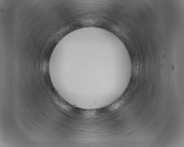 X0000062610574200601181632