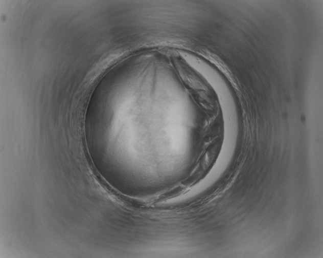 X0000062610577200601181632