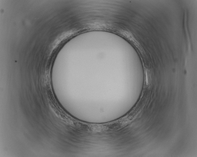 X0000062610579200601181632