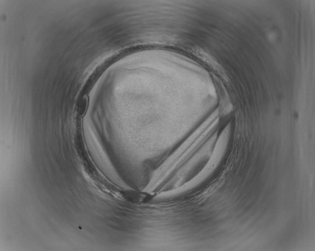 X0000062610580200601181631