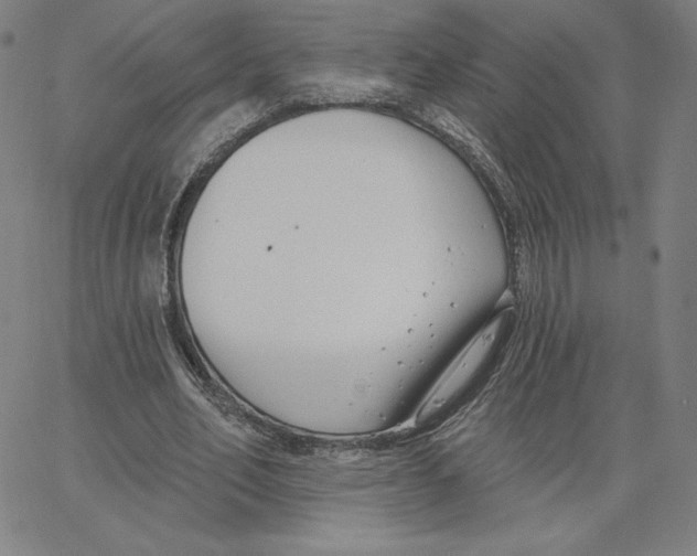 X0000062610582200601181631