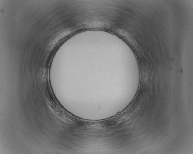 X0000062610583200601181631