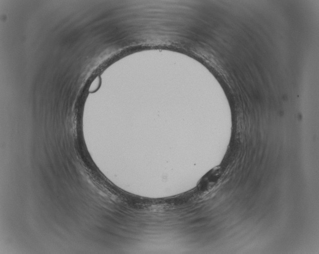 X0000062610584200601181631