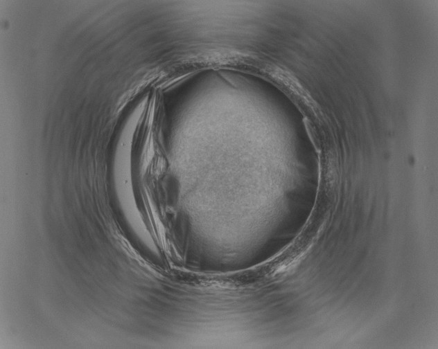 X0000062610585200601181631