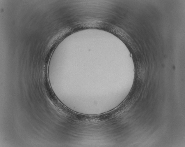 X0000062610586200601181631