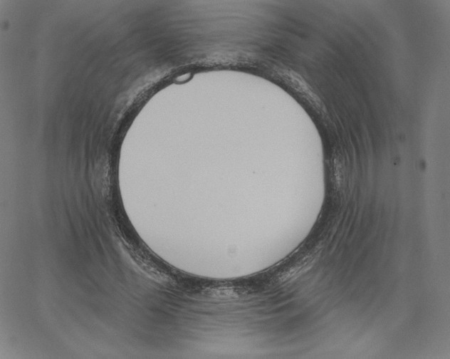 X0000062610588200601181631