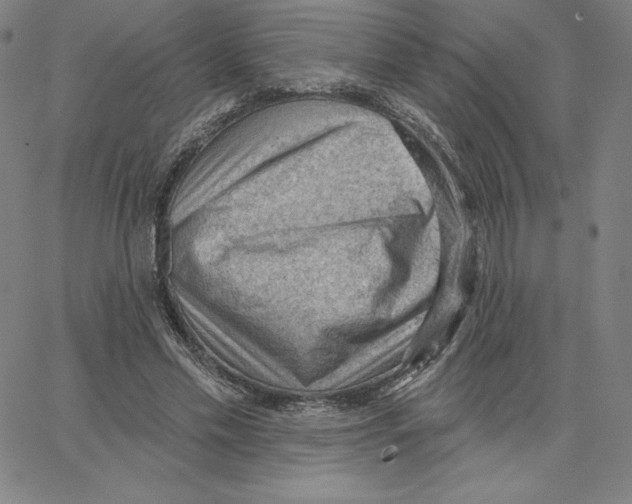 X0000062610589200601181631