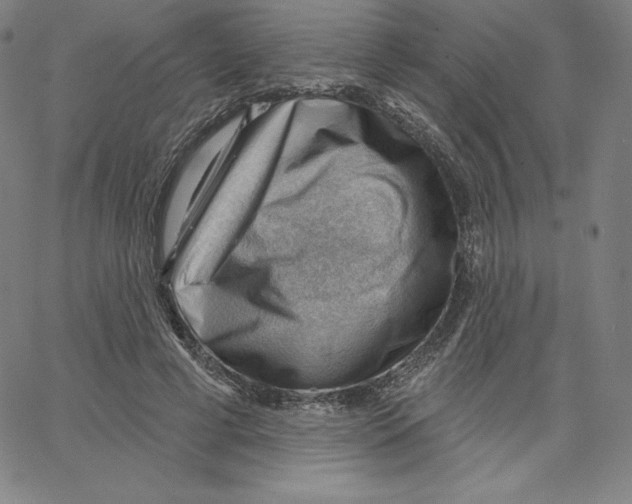 X0000062610593200601181631