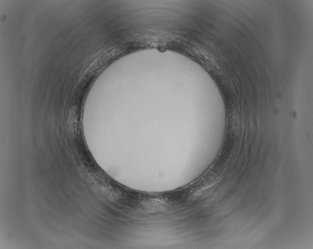 X0000062610594200601181631