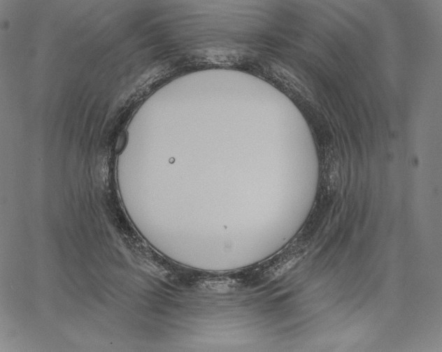 X0000062610595200601181631