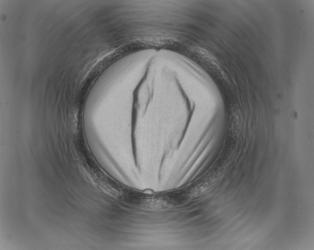 X0000062610596200601181631