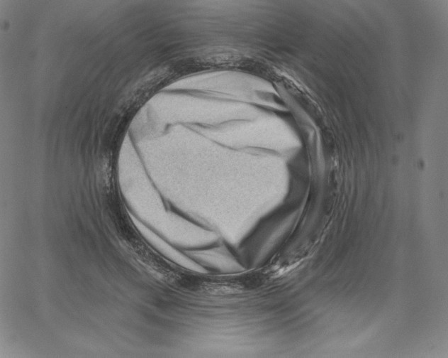 X0000062610597200601181631