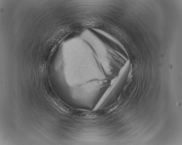 X0000062610601200601181631