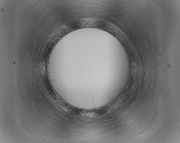 X0000062610602200601181631