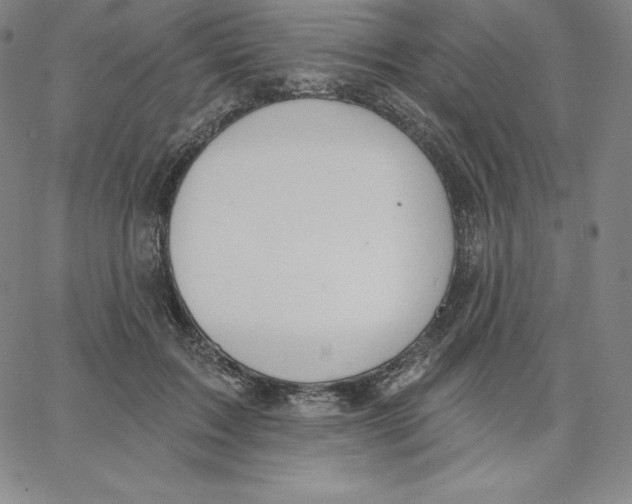 X0000062610603200601181631