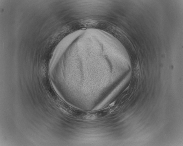 X0000062610604200601181631