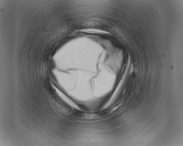 X0000062610605200601181631