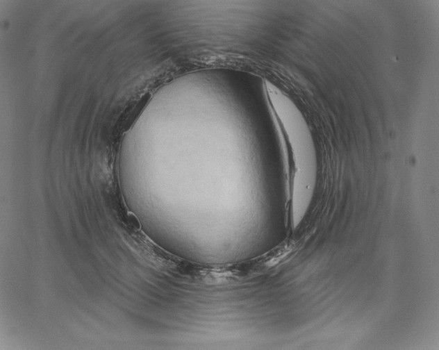 X0000062610607200601181631