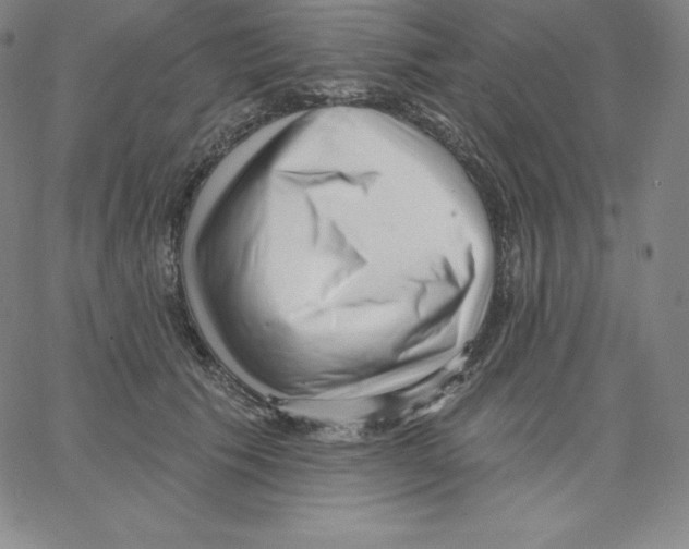 X0000062610609200601181631